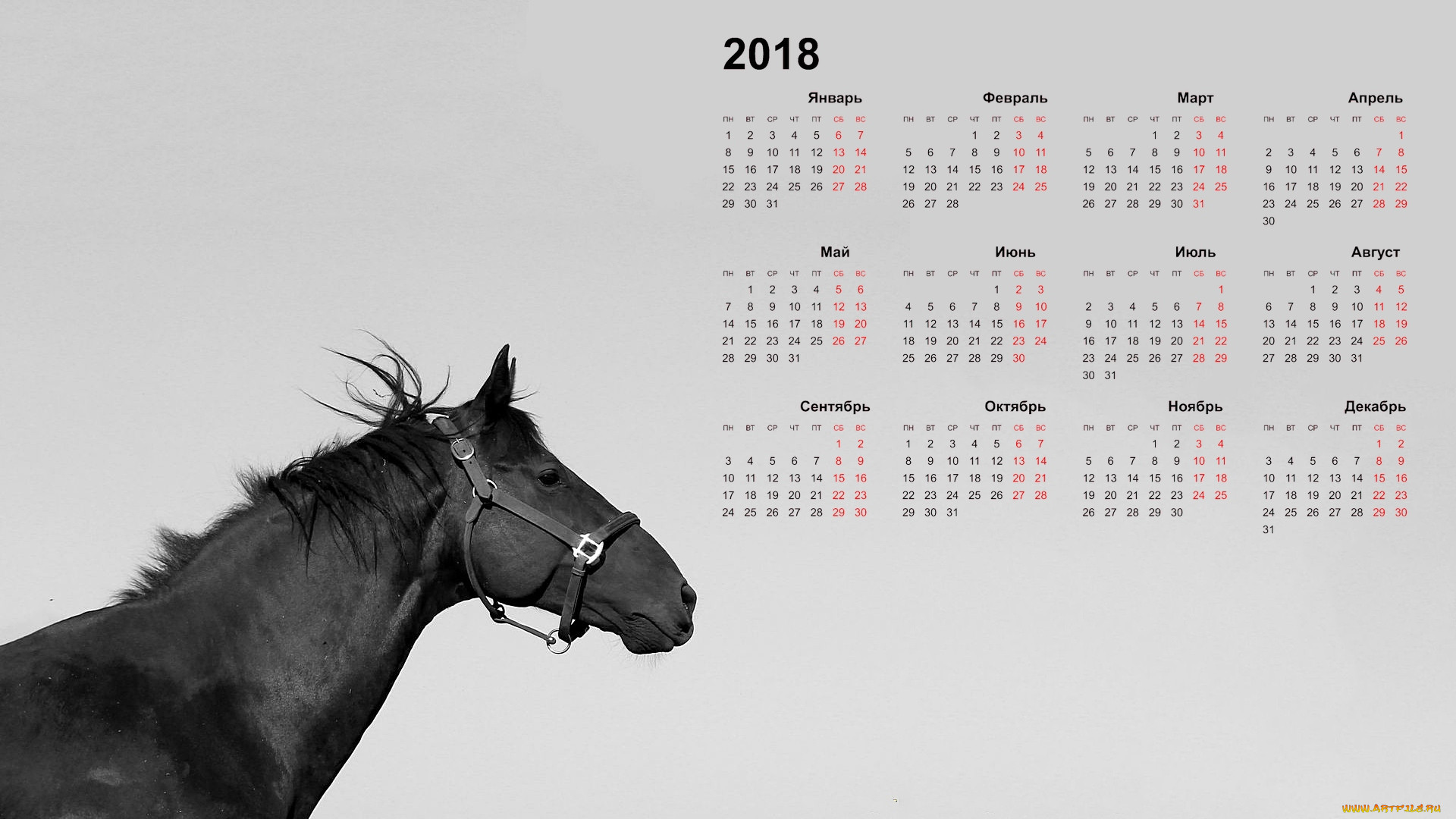 Лошадям 2020 год. Календарь картинка. Календарь на рабочий стол. Календарь 2022. Красивый календарь на рабочий стол 2022 год.